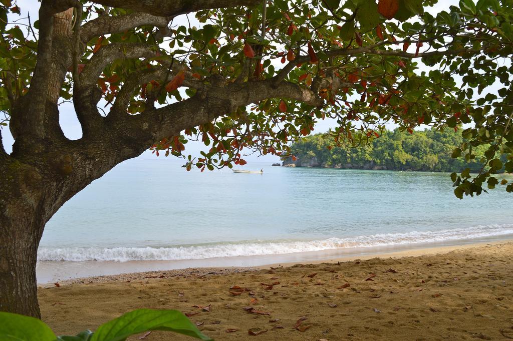 Kaz Kreol Beach Hotel Ocho Rios Dış mekan fotoğraf
